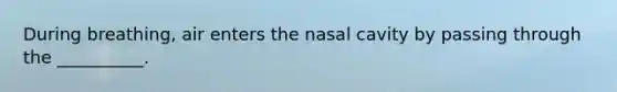 During breathing, air enters the nasal cavity by passing through the __________.