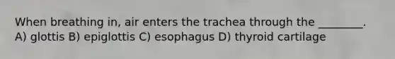 When breathing in, air enters the trachea through the ________. A) glottis B) epiglottis C) esophagus D) thyroid cartilage