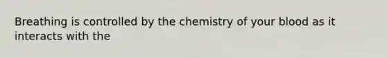 Breathing is controlled by the chemistry of your blood as it interacts with the