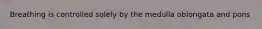 Breathing is controlled solely by the medulla oblongata and pons