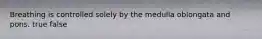 Breathing is controlled solely by the medulla oblongata and pons. true false