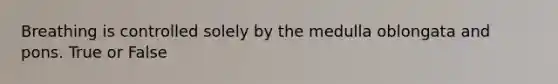 Breathing is controlled solely by the medulla oblongata and pons. True or False
