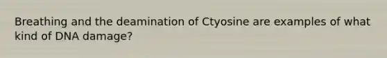 Breathing and the deamination of Ctyosine are examples of what kind of DNA damage?