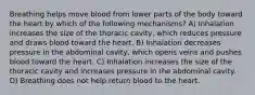 Breathing helps move blood from lower parts of the body toward the heart by which of the following mechanisms? A) Inhalation increases the size of the thoracic cavity, which reduces pressure and draws blood toward the heart. B) Inhalation decreases pressure in the abdominal cavity, which opens veins and pushes blood toward the heart. C) Inhalation increases the size of the thoracic cavity and increases pressure in the abdominal cavity. D) Breathing does not help return blood to the heart.