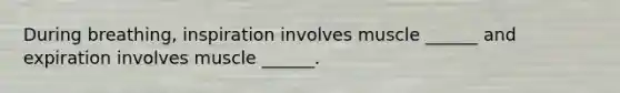 During breathing, inspiration involves muscle ______ and expiration involves muscle ______.
