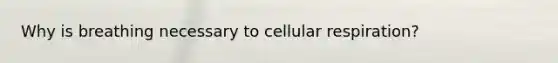 Why is breathing necessary to <a href='https://www.questionai.com/knowledge/k1IqNYBAJw-cellular-respiration' class='anchor-knowledge'>cellular respiration</a>?