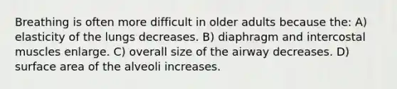 Breathing is often more difficult in older adults because the: A) elasticity of the lungs decreases. B) diaphragm and intercostal muscles enlarge. C) overall size of the airway decreases. D) surface area of the alveoli increases.