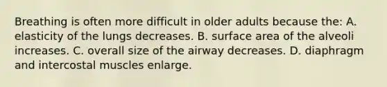 Breathing is often more difficult in older adults because the: A. elasticity of the lungs decreases. B. surface area of the alveoli increases. C. overall size of the airway decreases. D. diaphragm and intercostal muscles enlarge.