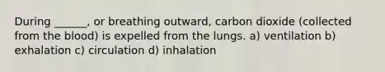 During ______, or breathing outward, carbon dioxide (collected from <a href='https://www.questionai.com/knowledge/k7oXMfj7lk-the-blood' class='anchor-knowledge'>the blood</a>) is expelled from the lungs. a) ventilation b) exhalation c) circulation d) inhalation