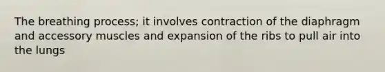 The breathing process; it involves contraction of the diaphragm and accessory muscles and expansion of the ribs to pull air into the lungs