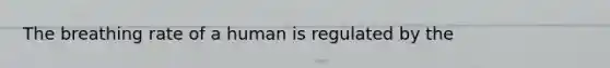 The breathing rate of a human is regulated by the