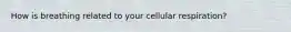 How is breathing related to your cellular respiration?