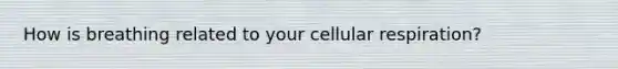 How is breathing related to your cellular respiration?