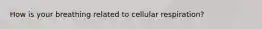 How is your breathing related to cellular respiration?