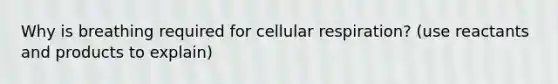 Why is breathing required for cellular respiration? (use reactants and products to explain)