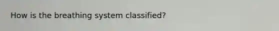 How is the breathing system classified?