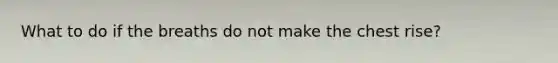 What to do if the breaths do not make the chest rise?
