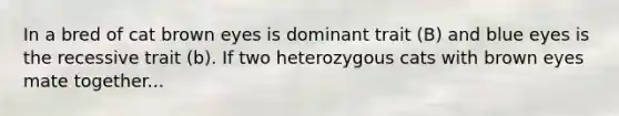 In a bred of cat brown eyes is dominant trait (B) and blue eyes is the recessive trait (b). If two heterozygous cats with brown eyes mate together...