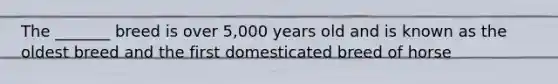 The _______ breed is over 5,000 years old and is known as the oldest breed and the first domesticated breed of horse