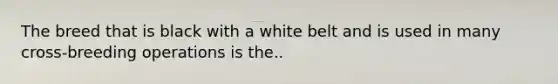 The breed that is black with a white belt and is used in many cross-breeding operations is the..