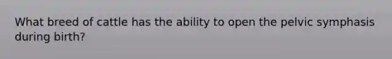 What breed of cattle has the ability to open the pelvic symphasis during birth?