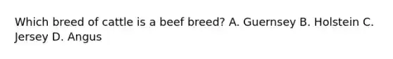 Which breed of cattle is a beef breed? A. Guernsey B. Holstein C. Jersey D. Angus