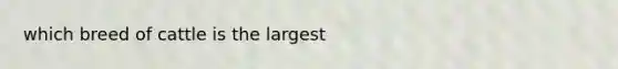 which breed of cattle is the largest