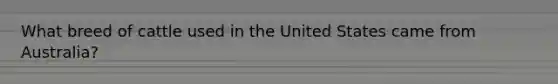 What breed of cattle used in the United States came from Australia?