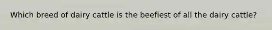 Which breed of dairy cattle is the beefiest of all the dairy cattle?