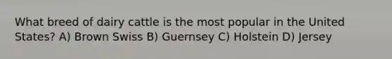 What breed of dairy cattle is the most popular in the United States? A) Brown Swiss B) Guernsey C) Holstein D) Jersey