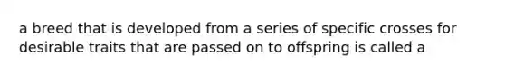 a breed that is developed from a series of specific crosses for desirable traits that are passed on to offspring is called a