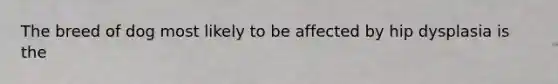 The breed of dog most likely to be affected by hip dysplasia is the