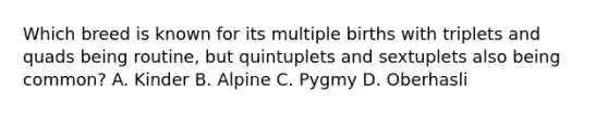 Which breed is known for its multiple births with triplets and quads being routine, but quintuplets and sextuplets also being common? A. Kinder B. Alpine C. Pygmy D. Oberhasli