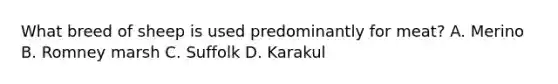 What breed of sheep is used predominantly for meat? A. Merino B. Romney marsh C. Suffolk D. Karakul