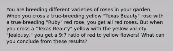 You are breeding different varieties of roses in your garden. When you cross a true-breeding yellow "Texas Beauty" rose with a true-breeding "Ruby" red rose, you get all red roses. But when you cross a "Texas Beauty" yellow with the yellow variety "Jealousy," you get a 9:7 ratio of red to yellow flowers! What can you conclude from these results?