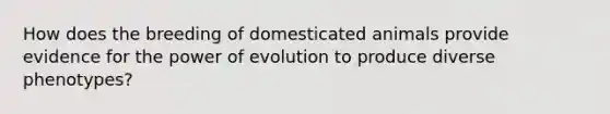 How does the breeding of domesticated animals provide evidence for the power of evolution to produce diverse phenotypes?