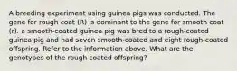 A breeding experiment using guinea pigs was conducted. The gene for rough coat (R) is dominant to the gene for smooth coat (r). a smooth-coated guinea pig was bred to a rough-coated guinea pig and had seven smooth-coated and eight rough-coated offspring. Refer to the information above. What are the genotypes of the rough coated offspring?