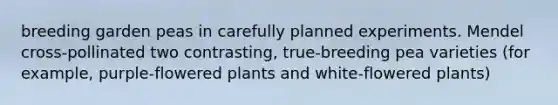 breeding garden peas in carefully planned experiments. Mendel cross-pollinated two contrasting, true-breeding pea varieties (for example, purple-flowered plants and white-flowered plants)