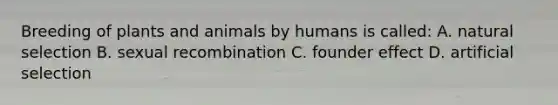 Breeding of plants and animals by humans is called: A. natural selection B. sexual recombination C. founder effect D. artificial selection