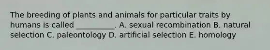 The breeding of plants and animals for particular traits by humans is called __________. A. sexual recombination B. natural selection C. paleontology D. artificial selection E. homology