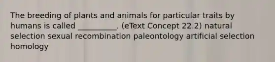 The breeding of plants and animals for particular traits by humans is called __________. (eText Concept 22.2) natural selection sexual recombination paleontology artificial selection homology