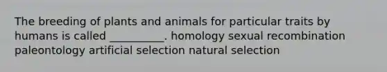 The breeding of plants and animals for particular traits by humans is called __________. homology sexual recombination paleontology artificial selection natural selection