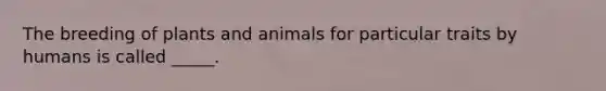 The breeding of plants and animals for particular traits by humans is called _____.