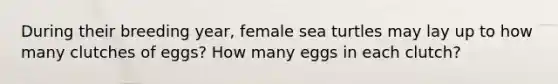 During their breeding year, female sea turtles may lay up to how many clutches of eggs? How many eggs in each clutch?