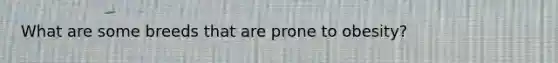 What are some breeds that are prone to obesity?