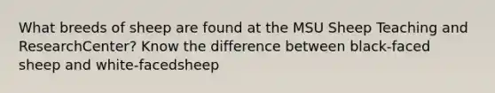 What breeds of sheep are found at the MSU Sheep Teaching and ResearchCenter? Know the difference between black-faced sheep and white-facedsheep
