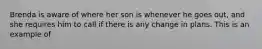 Brenda is aware of where her son is whenever he goes out, and she requires him to call if there is any change in plans. This is an example of