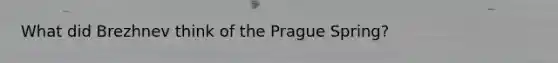 What did Brezhnev think of the Prague Spring?