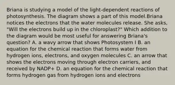 Briana is studying a model of the light-dependent reactions of photosynthesis. The diagram shows a part of this model.Briana notices the electrons that the water molecules release. She asks, "Will the electrons build up in the chloroplast?" Which addition to the diagram would be most useful for answering Briana's question? A. a wavy arrow that shows Photosystem I B. an equation for the chemical reaction that forms water from hydrogen ions, electrons, and oxygen molecules C. an arrow that shows the electrons moving through electron carriers, and received by NADP+ D. an equation for the chemical reaction that forms hydrogen gas from hydrogen ions and electrons