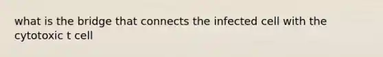 what is the bridge that connects the infected cell with the cytotoxic t cell